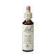 Bach Flower Remedies IJzerhard 31 20ML Bach Flower Remedies IJzerhard 31 20ML