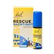 Bach Rescue Nacht Spray 20ML