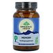 Organic India Memory Capsules 90CP