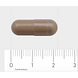 AOV 836 Top Complex Capsules 90VCP
