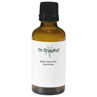 Cruydhof Ribes Nigrum Fol/Zwarte Bes Druppels 50ML Cruydhof Ribes Nigrum Fol/Zwarte Bes Druppels 50ML