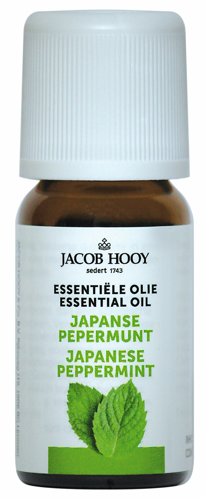 Jacob Hooy Essentiële Olie Japanse Pepermunt afbeelding 1