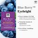 New Nordic Blue Berry Eyebright Tabletten 120TB
