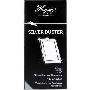 Hagerty Silver Duster 1ST