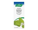 A.Vogel Dormeasan Citroenmelisse Nachtrust Druppels 100ML