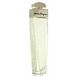 Salvatore Ferragamo Pour Femme Eau de Parfum 100ML fles