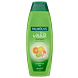 Palmolive Shampoo Fris Vitaal Citrus-Extract 350ML Palmolive Shampoo Fris Vitaal Citrus-Extract 350ML