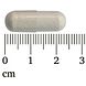 Lucovitaal Alle 22 Aminozuren Compleet Capsules 60CP capsule afmeting Lucovitaal Alle 22 Aminozuren Compleet Capsules 60CP capsule afmeting