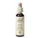 Bach Flower Remedies Beuk 03 20ML
