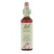 Bach Flower Remedies Wilg 38 20ML Bach Flower Remedies Wilg 38 20ML