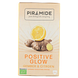 Piramide Positive Glow Gember & Citroen Thee 20ZK