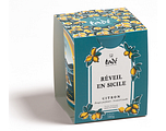 Tadé Réveil en Sicile Citroen Geurkaars 180GR Tadé Réveil en Sicile Citroen Geurkaars 180GR