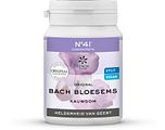 Lemon Pharma Bach Bloesem Kauwgom No41 Concentratie 40ST