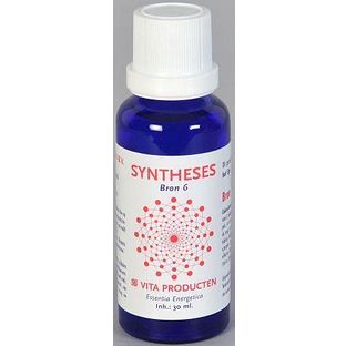Vita Producten Vita Syntheses Bron 6 Ego 30ML