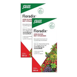 Salus Elixer Floradix - Duoverpakking 2x500ML