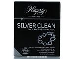 Hagerty Silver Clean 170ML