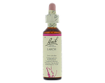 Bach Flower Remedies Lariks 19 20ML