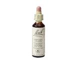Bach Flower Remedies IJzerhard 31 20ML