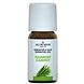 Jacob Hooy Essentiële Olie Kajapoet 10ML