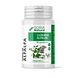 Soria Natural Luzerne Alfalfa Capsules 80CP Soria Natural Luzerne Alfalfa Capsules 80CP