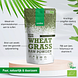 Purasana Vegan Wheat Grass Raw Powder 200GR voordelen Purasana Vegan Wheat Grass Raw Powder 200GR voordelen