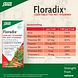 Salus Floradix IJzer Tabletten 84TB