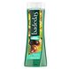 Badedas Revitalizing Showergel Wild Forest Chestnut & Pine 600ML