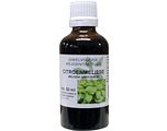 Natura Sanat Melissa Officinalis/Citroenmelisse 50ML