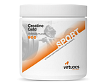 Virtuoos Creatine Gold 300GR Virtuoos Creatine Gold 300GR