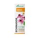 Soria Natural Echinasor Composor 08 Druppels 50ML Soria Natural Echinasor Composor 08 Druppels 50ML