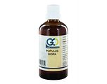 GO Gemmo Oplossingen Populus Nigra Druppels 100ML GO Gemmo Oplossingen Populus Nigra Druppels 100ML