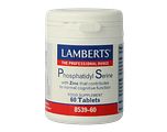 Lamberts Phosphatidyl Serine Met Zink Tabletten 60TB