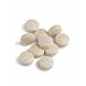 Biotics Mn-Zyme Tabletten 100TB