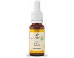 Lemon Pharma Bach NO.32 Vine 20ML Lemon Pharma Bach NO.32 Vine 20ML