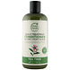 Petal Fresh Conditioner Scalp Treatment Tea Tree 475ML Petal Fresh Conditioner Scalp Treatment Tea Tree 475ML