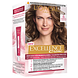L'Oréal Paris Excellence 6 Donkerblond 1ST L'Oréal Paris Excellence 6 Donkerblond 1ST