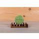 HappySoaps Aloevera Shampoobar 70GR sfeerbeeld 2