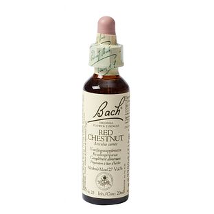 Bach Flower Remedies Rode Kastanje 25 20ML Bach Flower Remedies Rode Kastanje 25 20ML