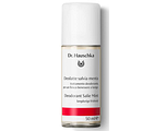Dr. Hauschka Deodorant Salie Mint 50ML