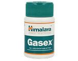 Himalaya Herbals Gasex Tabletten 100TB Himalaya Herbals Gasex Tabletten 100TB