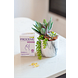 Proceive Zwanger Omega 3 Capsules 60CP Sfeerfoto verpakking Proceive Zwanger Omega 3 Capsules 60CP Sfeerfoto verpakking