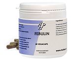 Holisan Febulin Capsules 60CP