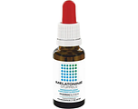 Pharmanutrics Melatonine Druppels 50ML