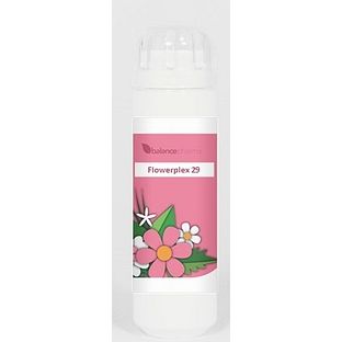 Balance Pharma Flowerplex 29 Nieuwe Richting 6GR Balance Pharma Flowerplex 29 Nieuwe Richting 6GR
