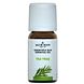 Jacob Hooy Essentiële Olie Tea Tree 10ML Jacob Hooy Essentiële Olie Tea Tree 10ML