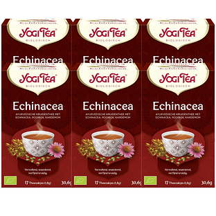 Yogi Tea Echinacea Voordeelverpakking 6x17ST