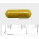 AOV 1027 Schildkliernorm Vegacaps 60VCP AOV 1027 Schildkliernorm Vegacaps 60VCP