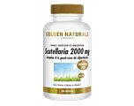 Golden Naturals Scutellaria 2000 mg Capsules 180VCP