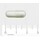 Orthica Nicotinamide 500 Capsules 60VCP Afmeting capsule