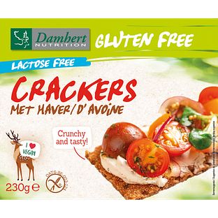 Damhert Gluten Free haver Crackers Lactose Free 230GR